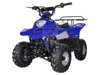 квадроцикл Avantis Termit Junior 110сс 4т (110 кубов) (синий)