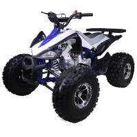 Квадроцикл TAO 125cc New CHEETAH 