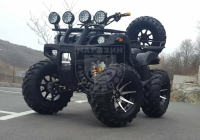 Квадроцикл GRIZZLY 250 черный в интернет - магазине МОПЕДОФФ.