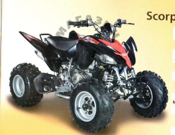 Квадроцикл ABM Scorpion 250 в интернет - магазине МОПЕДОФФ.