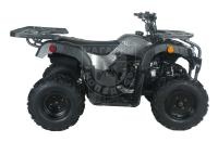 Квадроцикл Apollo PENTORA 150 UT AUTO W / R серый