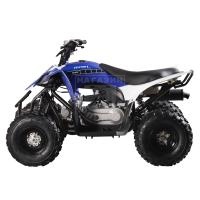 Квадроцикл Mikilon Pentora 110L