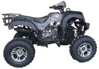 Квадроцикл Apollo COUGAR UT 200CC чёрный камуфляж