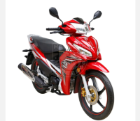 Dayun DY110CC red