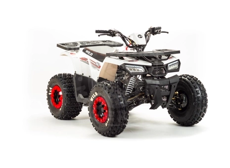 Bison Квадроцикл Bison ATV 125 Wild
