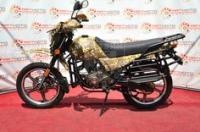 ETN 140-50 camouflage