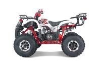 Квадроцикл Tao T-FORCE PLATINUM Red