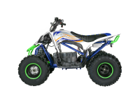 Квадроцикл Motax E-PENTORA 1500W белый в интернет - магазине МОПЕДОФФ.