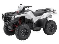 Квадроцикл GRIZZLY EX 125cc white