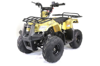 КВАДРОЦИКЛ ATV ATOMIK TT Yellow