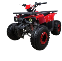 Квадроцикл ATV Spark SP200q red