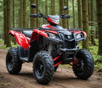 Bashan ATV 125 