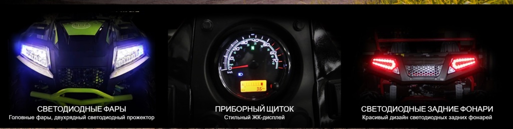 багги.jpg