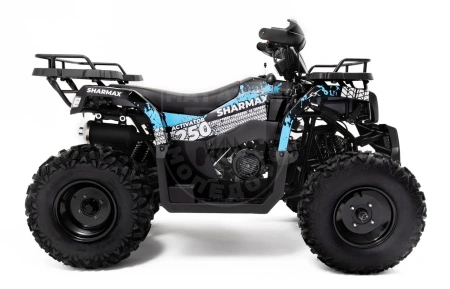 Motoland Квадроцикл MOTOLAND ATV 300 MAX X синий купить в Мопедофф www.9814555.ru