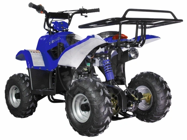 AVANTIS квадроцикл Avantis Termit Junior 110сс 4т (110 кубов) (синий)