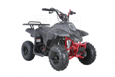 Детские Квадроцикл Tao Motor 110 Rock Blak matte
