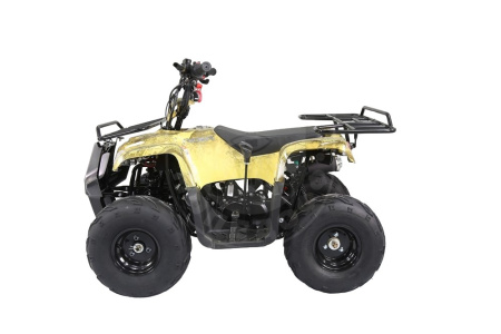 ATV КВАДРОЦИКЛ ATV ATOMIK TT