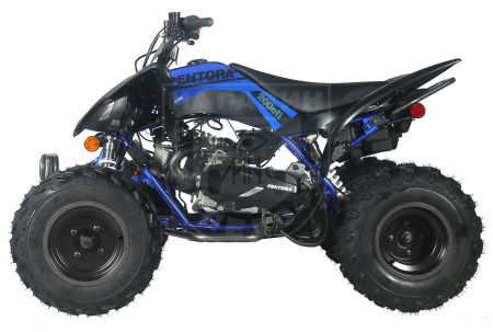 Apollo Квадроцикл Apollo PENTORA 200 EFI синий
