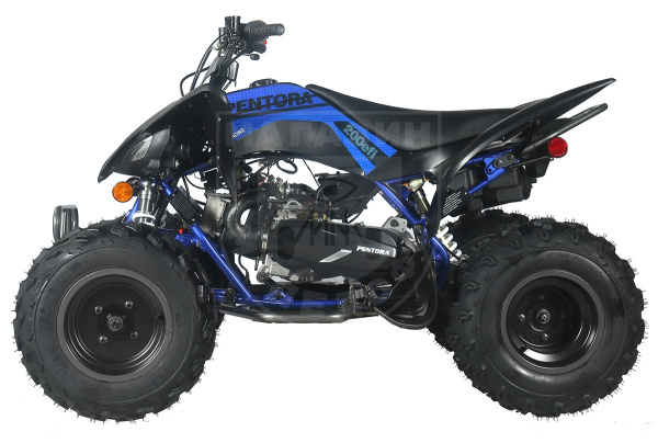 Apollo Квадроцикл Apollo PENTORA 200 EFI синий