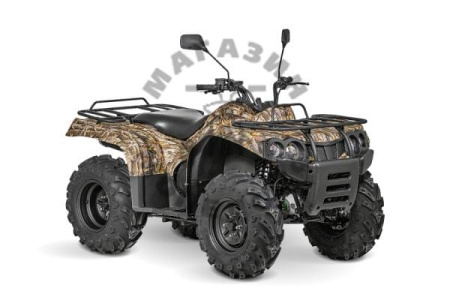 Квадрицилы Striker Квадроцикл Baltmotors ATV 200 EFI 200сс 2т