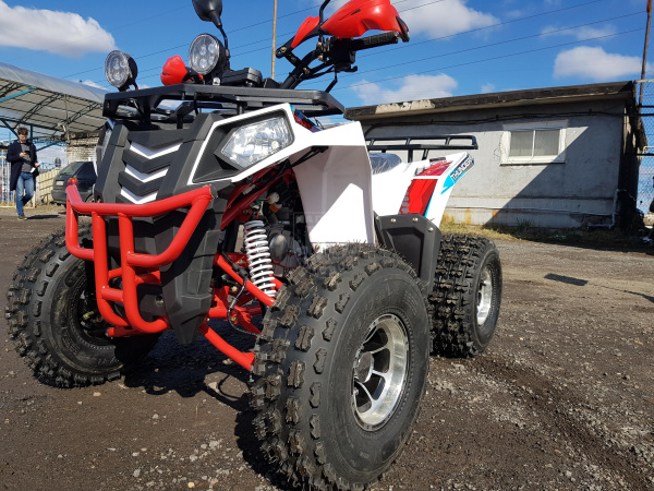 RAPTOR Квадроцикл Raptop Dux LUX 8 125