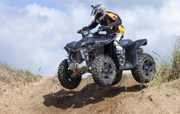 Квадрициклы Jumbo Квадрицикл BaltMotors MBX 250 Lux EFI