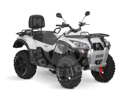 Квадрициклы Jumbo Квадрицикл BaltMotors Jumbo 250 MAX Lux EFI