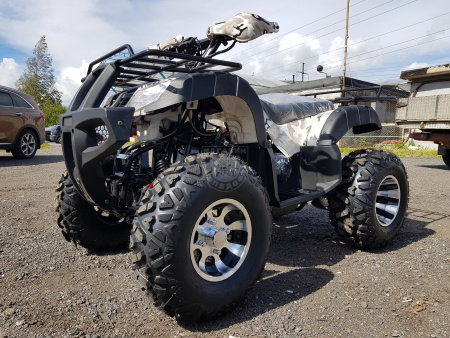 RAPTOR Квадроцикл RAPTOR ATV200U LUX ALL