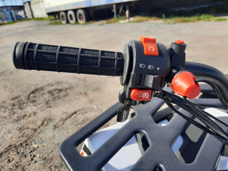 RAPTOR Квадроцикл Raptop R 8 125