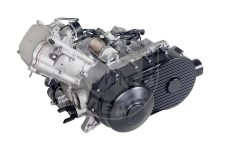 Квадрициклы Jumbo Квадрицикл BaltMotors Jumbo 250 MAX Basic EFI