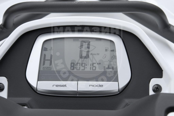 Квадрициклы Jumbo Квадрицикл BaltMotors Jumbo 250 MAX Basic EFI