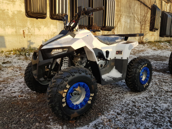 Комплект запчастей Motoland Eagle 110 купить в Мопедофф 88005508293 - звонок бесплатный.