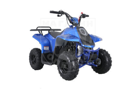 Детские Квадроцикл Tao Motor 110 Rock Blue