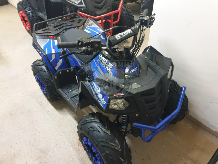 Детские Квадроцикл Wels EVO M 110 bl