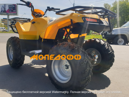 IRBIS Квадроцикл IRBIS ATV200U yellow ПСМ