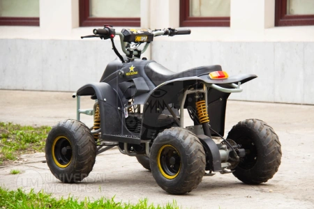 Bison Квадроцикл Bison Super Mini Electro black