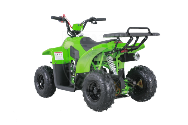 Детские Квадроцикл Tao Motor 110 Rock Green