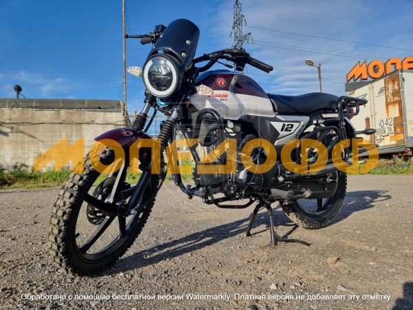 RATO Мопед RATO Warrior 3.0 Rasberry 140