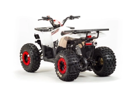 Bison Квадроцикл Bison ATV 125 Wild