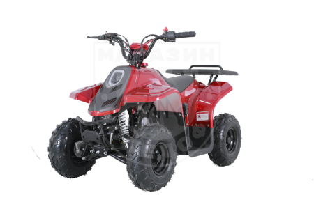 Детские Квадроцикл Tao Motor 110 Rock Red