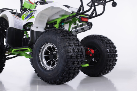 Подростковые Квадроцикл Tao T-FORCE PLATINUM Green