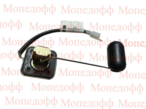Изображение WhatsApp 2024-11-06 в 18.00