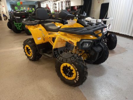 Motoland Комплект запчастей Motoland WILD TRACK X  200 купить в Мопедофф www.9814555.ru