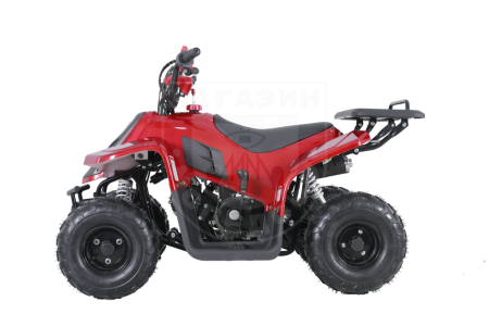 Детские Квадроцикл Tao Motor 110 Rock Red