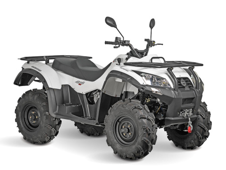 Квадрициклы Jumbo Квадрицикл BaltMotors Jumbo 250 MAX Basic EFI