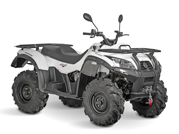 Квадрицикл BaltMotors Jumbo 250 MAX Basic EFI в интернет - магазине МОПЕДОФФ.