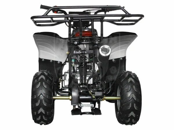 AVANTIS квадроцикл Avantis Termit Junior 110сс 4т (110 кубов) (чёрный)