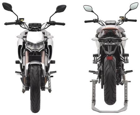 Regulmoto Мотоцикл REGULMOTO Alien Monster 300