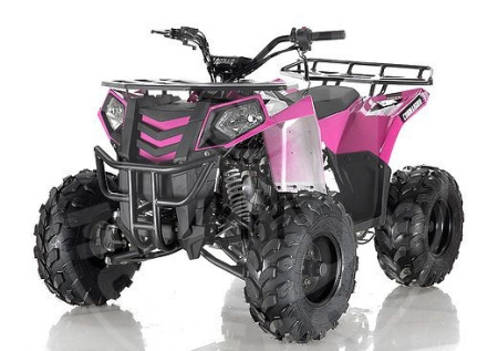Grizzly Квадроцикл GRIZZLY EX 125cc  pink
