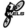 Купить квадроциклы WELS в интернет-магазине, детский, взрослый, недорого. Доставка новых квадроциклов в день заказа в СПб и срочно по России. Купить квадроциклы WELS в интернет-магазине, детский, взрослый, недорого. Доставка новых квадроциклов в день заказа в СПб и срочно по России.